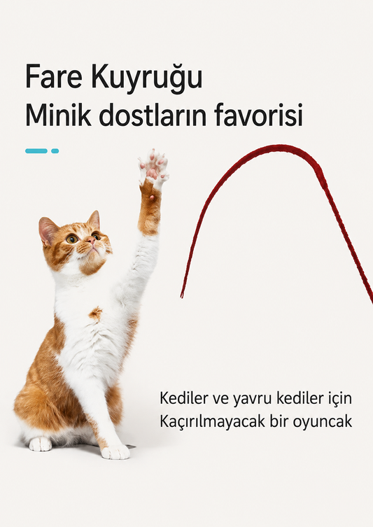 Silikon Kedi Oltası