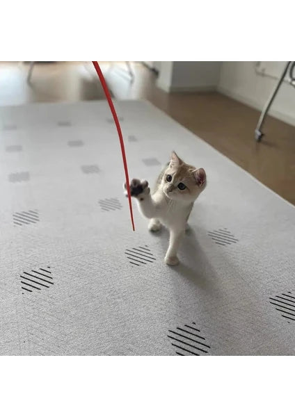 Silikon Kedi Oltası