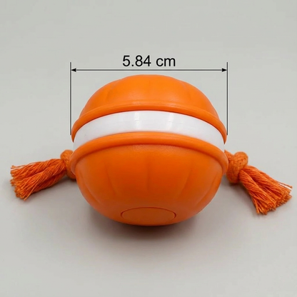 Köpekler için uygun renklerde, hareket sensörlü ve çekme ipi bulunan dayanıklı köpek oyun topu.