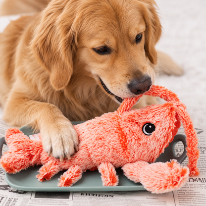 Sallanan Istakoz - Etkileşimli Köpek Oyuncağı