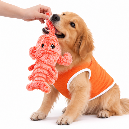 Sallanan Istakoz - Etkileşimli Köpek Oyuncağı