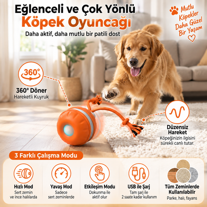 Köpekler için uygun renklerde, hareket sensörlü ve çekme ipi bulunan dayanıklı köpek oyun topu.