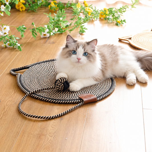 Kedi Tırmalama Oyuncağı Halısı