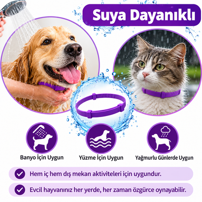 Köpekler ve Kediler için Feromonlu Sakinleştirici Tasma