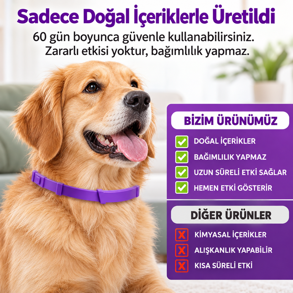 Köpekler ve Kediler için Feromonlu Sakinleştirici Tasma