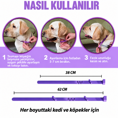 Köpekler ve Kediler için Feromonlu Sakinleştirici Tasma
