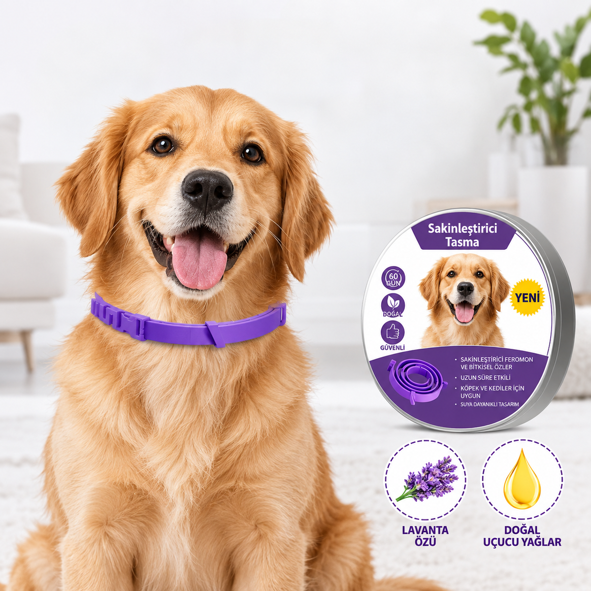 Köpekler ve Kediler için Feromonlu Sakinleştirici Tasma