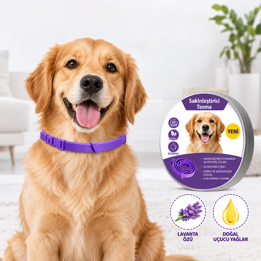 Köpekler ve Kediler için Feromonlu Sakinleştirici Tasma