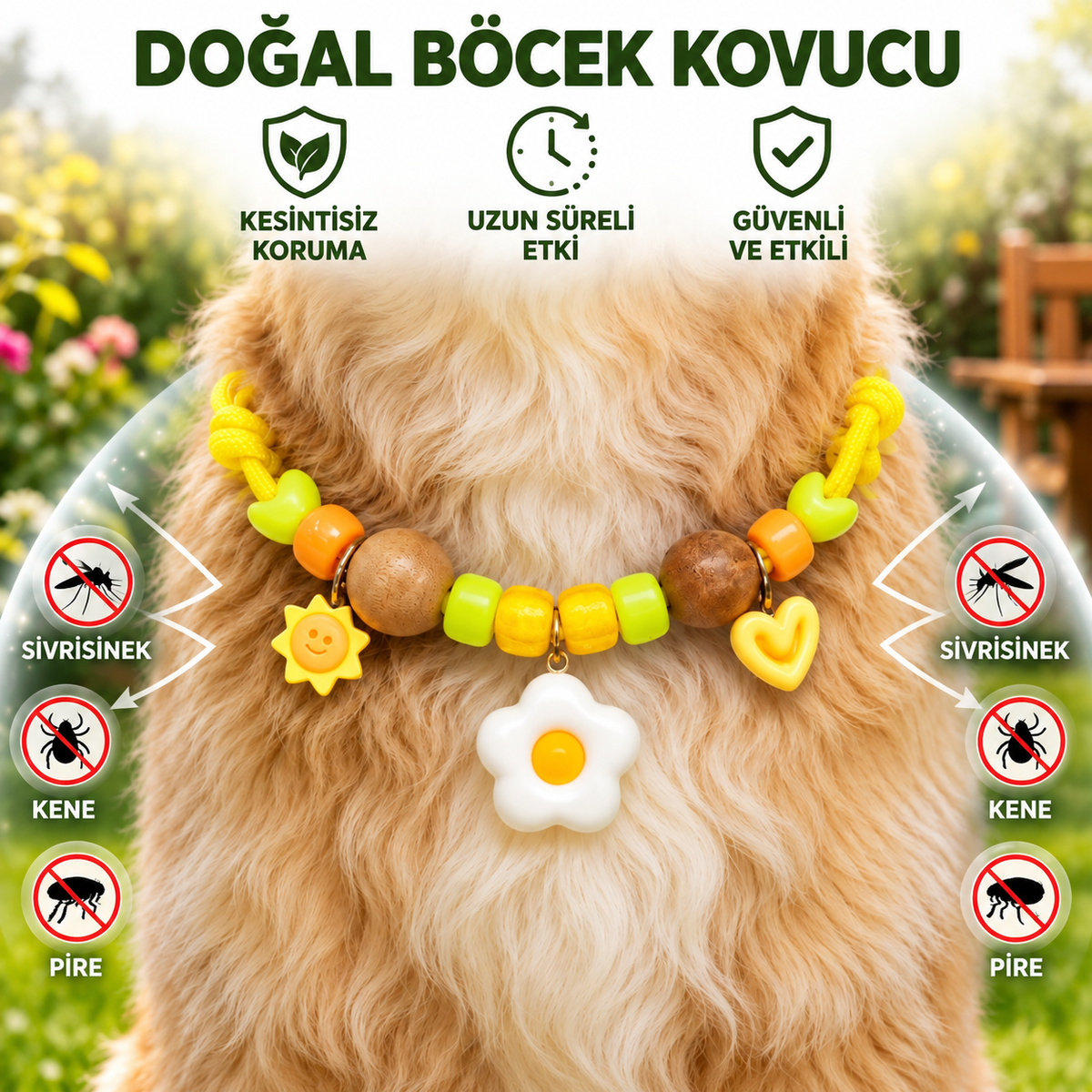 Köpekler için Böcek Kovucu Özellikli Sevimli Tasma