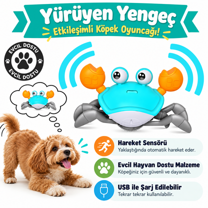 Sürünen Yengeç - Yavru Köpekler İçin İnteraktif Oyuncak