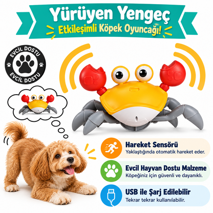 Sürünen Yengeç - Yavru Köpekler İçin İnteraktif Oyuncak