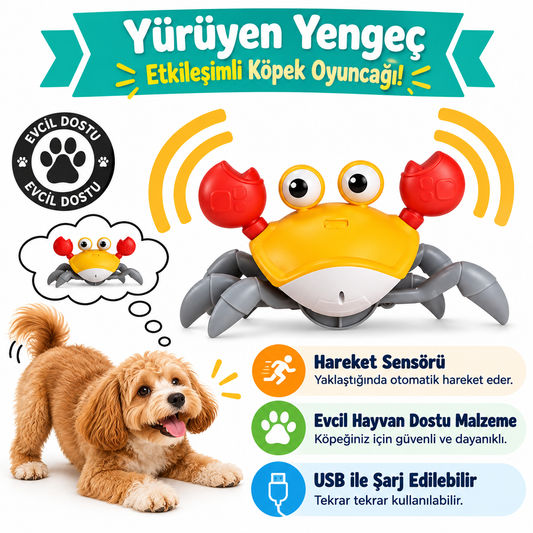 Sürünen Yengeç - Yavru Köpekler İçin İnteraktif Oyuncak