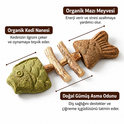 Kedi Nanesi ve Gümüş Asma Çiğneme Oyuncağı