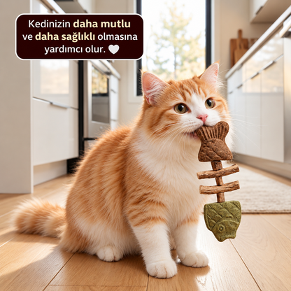 Kedi Nanesi ve Gümüş Asma Çiğneme Oyuncağı