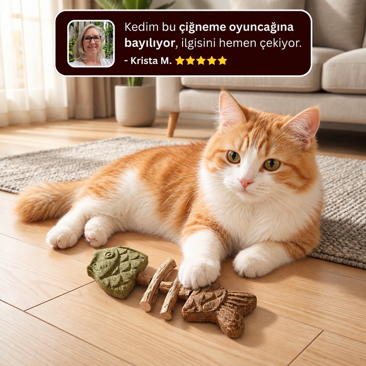 Kedi Nanesi ve Gümüş Asma Çiğneme Oyuncağı