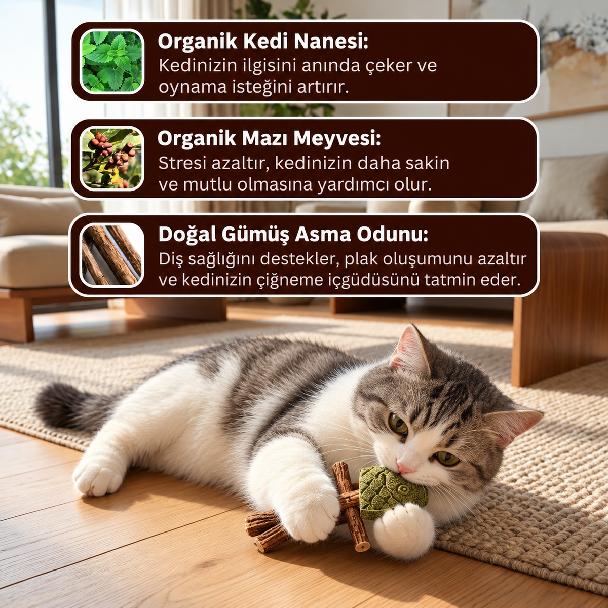 Kedi Nanesi ve Gümüş Asma Çiğneme Oyuncağı