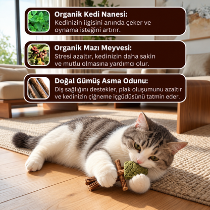 Kedi Nanesi ve Gümüş Asma Çiğneme Oyuncağı