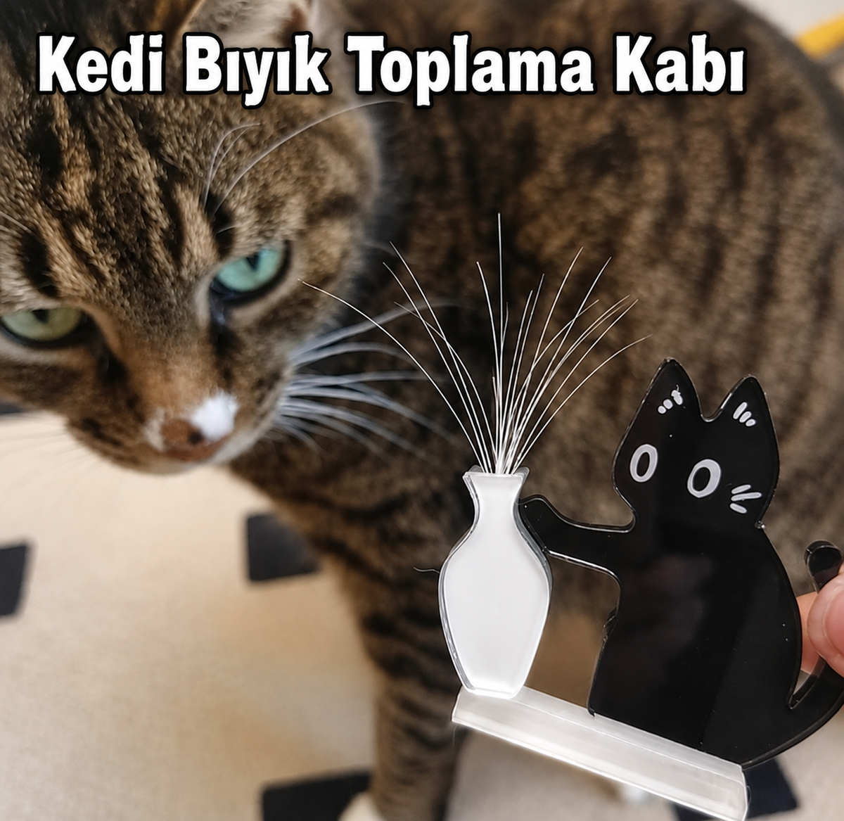 Kedi Bıyık Toplama Kabı
