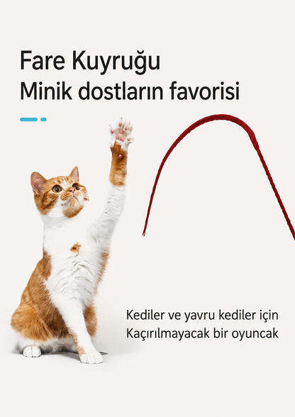 Silikon Kedi Oltası