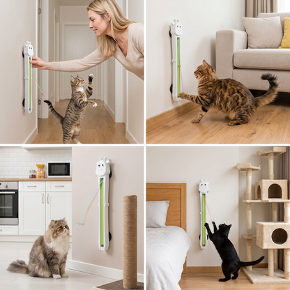 Etkileşimli ve Bağımsız Oyun İçin Otomatik Kedi Oyuncağı