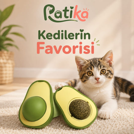 Kedi Nanesi Oyuncağı
