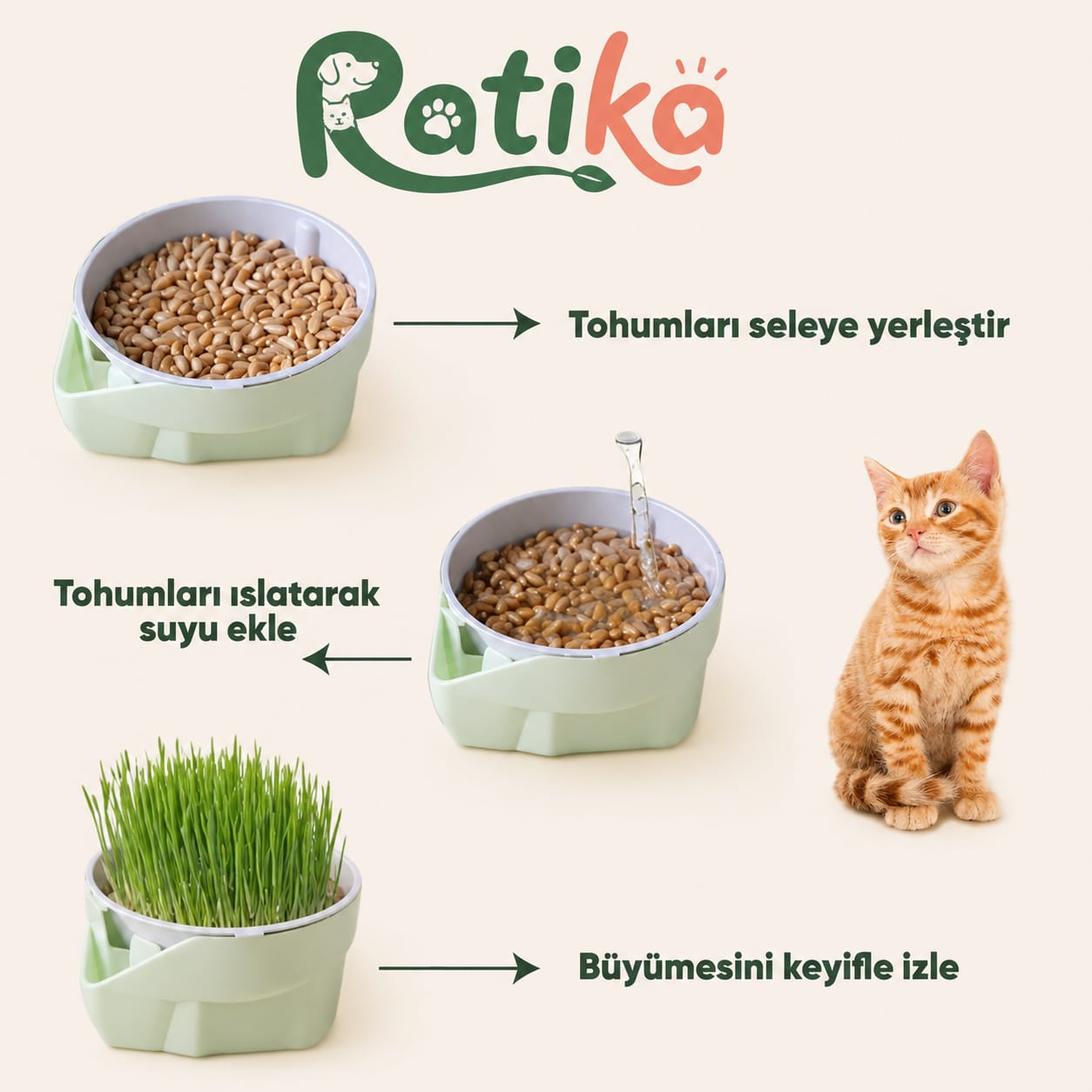 Patika Doğal Kedi Çimi Yetiştirme Seti