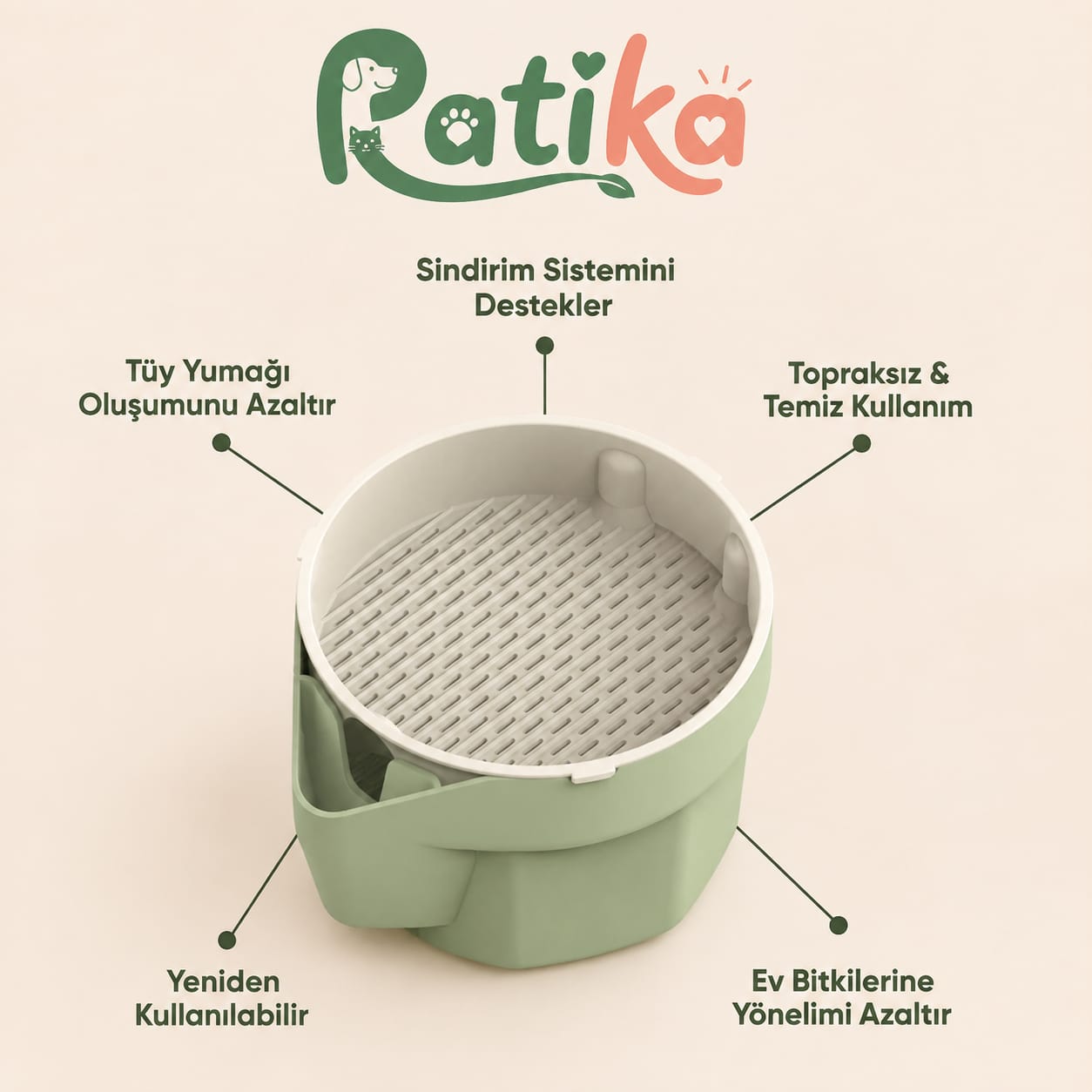 Patika Doğal Kedi Çimi Yetiştirme Seti
