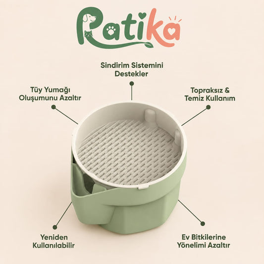 Patika Doğal Kedi Çimi Yetiştirme Seti