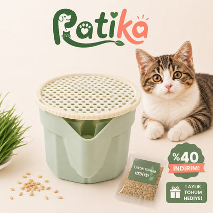 Patika Doğal Kedi Çimi Yetiştirme Seti