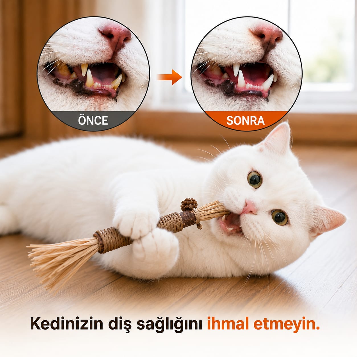 Patika Doğal Matatabi Çiğneme Çubuğu