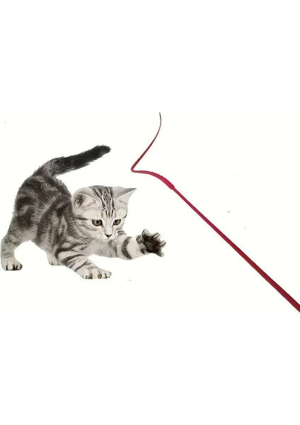 Silikon Kedi Oltası