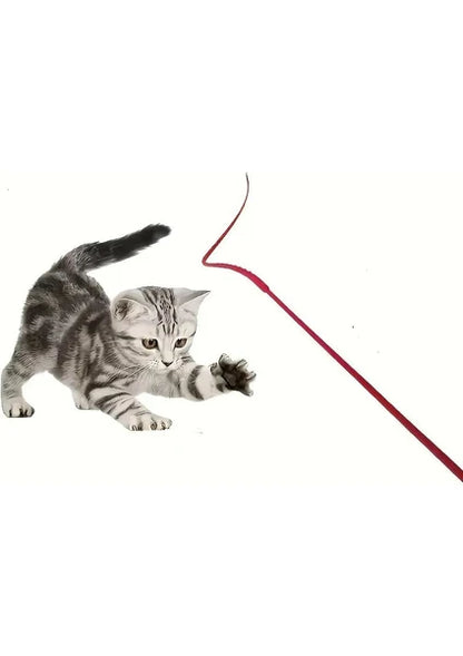 Silikon Kedi Oltası