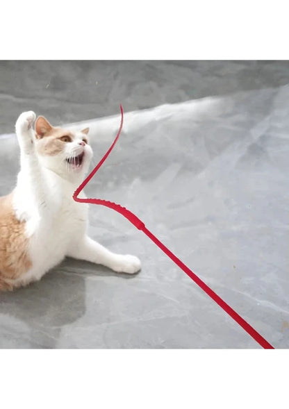 Silikon Kedi Oltası