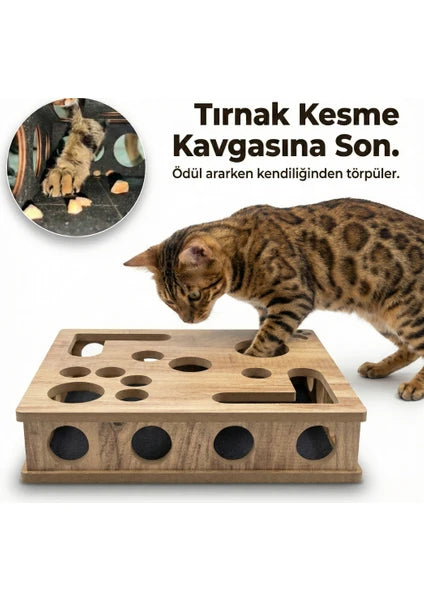 Tırnak Törpüleyen Tırmalama ve Oyun Kutusu