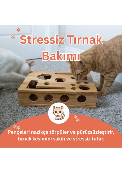 Tırnak Törpüleyen Tırmalama ve Oyun Kutusu